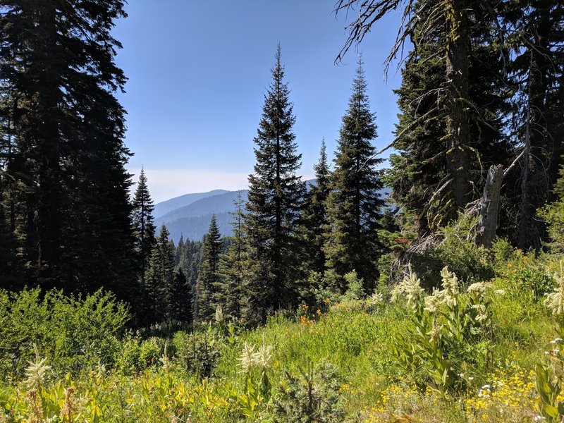 Looking NW from Horse Springs