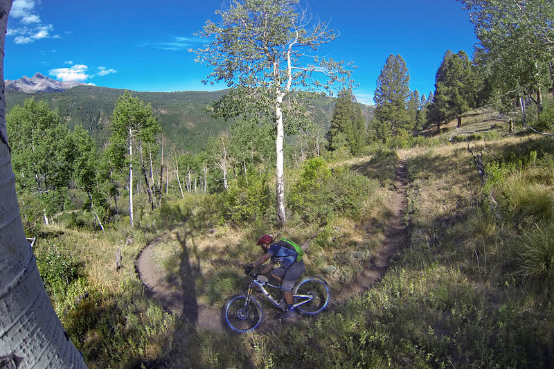 One of many swoopy turns on the Sunshine trail.