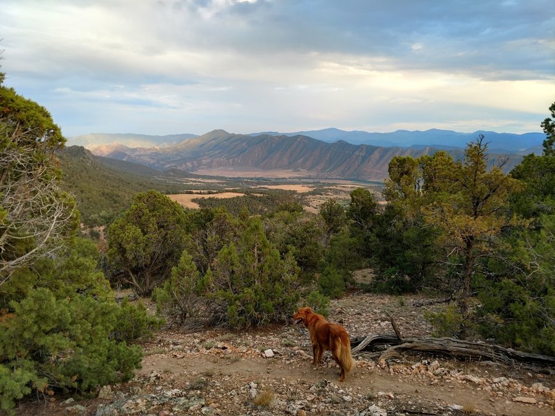 View to the southeast.