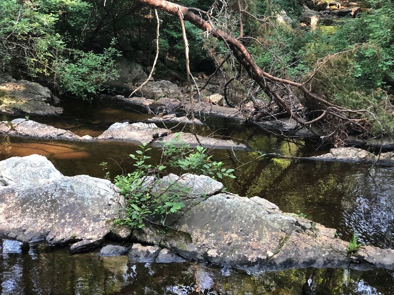 Pools during low water flow.