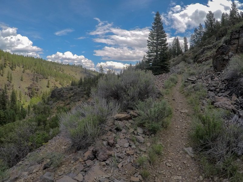 Up above the Susan River on the fun and flowy Southside Trail...