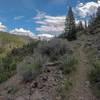 Up above the Susan River on the fun and flowy Southside Trail...