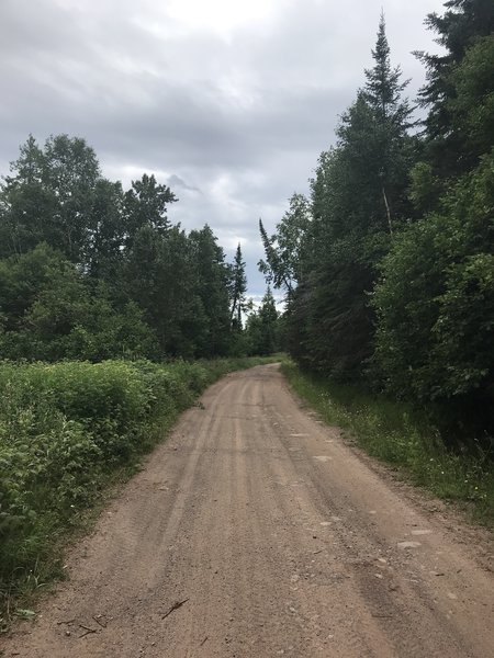 Singletrack eventually turns into doubletrack access roads.