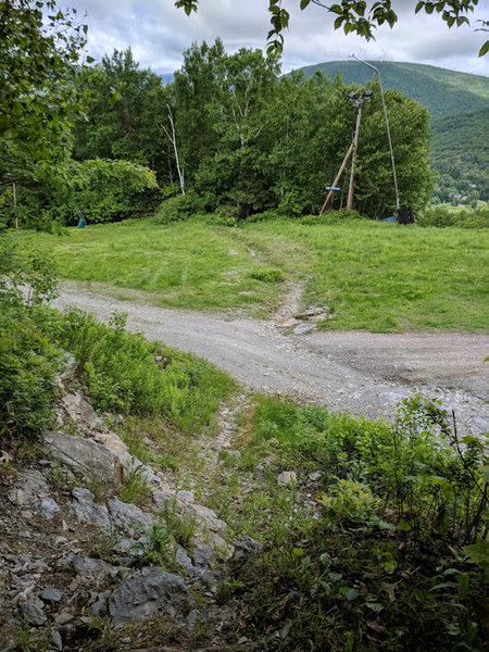 Continuing on Trail D down Rock Ledge and over West Way ski trail.