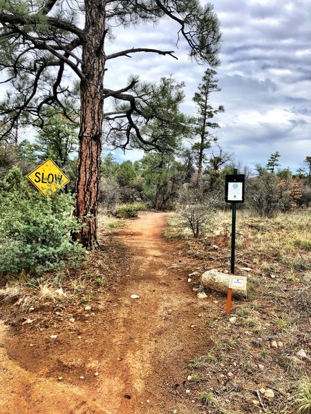 Noodle Trail at Spence Springs Rd