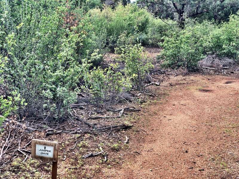 Vista and Juniper Gate