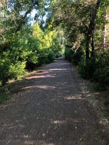 this is what the most of high-line looks like