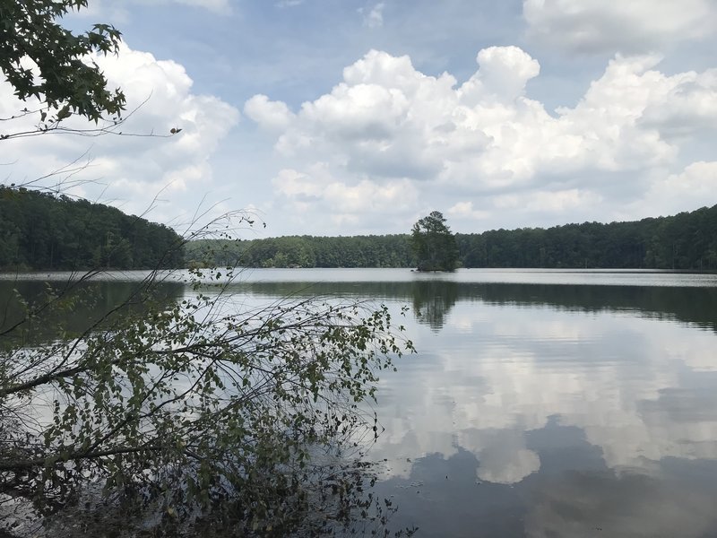 View of Lake Allatoona