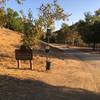 Deer Canyon - Canyon Mist Entrance.