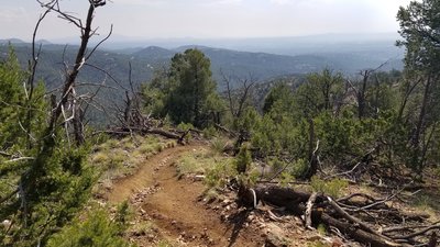 Saddleback Trail: Lots of great views