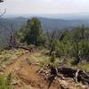 Saddleback Trail: Lots of great views