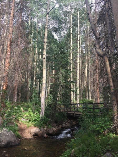 One of many bridges along Fooses Creek