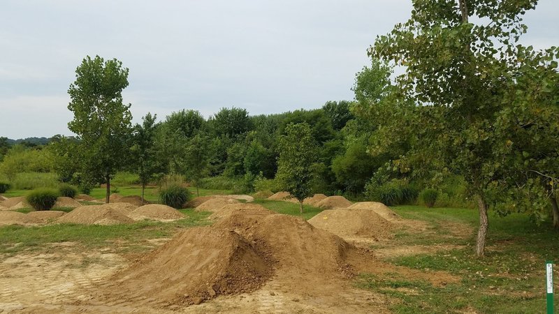 Dirt jumps with multiple lines to choose from! Come and get it!