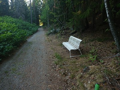 First bench