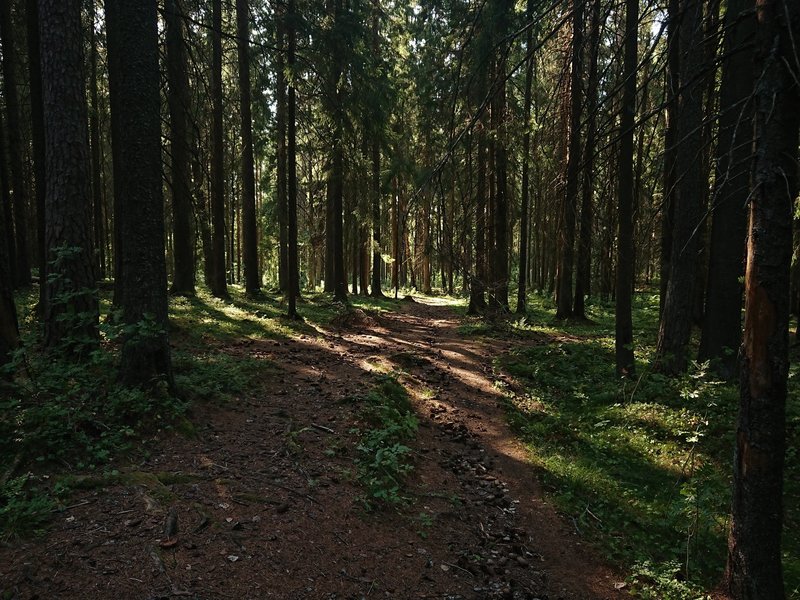 To the left to the hill fort right to Løkkekroken.