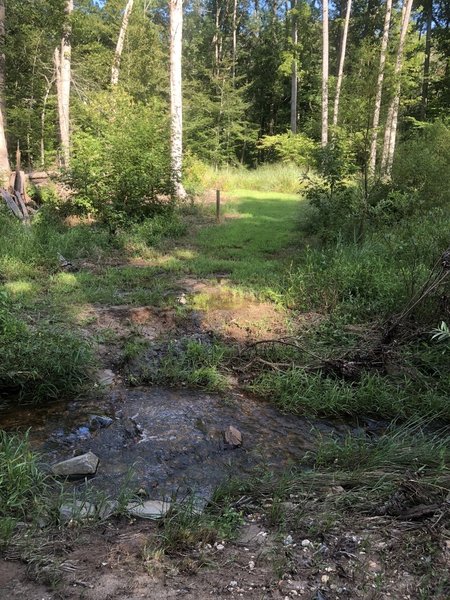 Largest water crossing, separates singletrack from doubletrack.