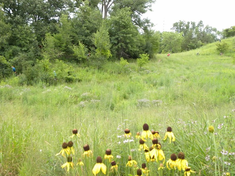 Lots of elevation changes around the prairie sections.