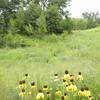 Lots of elevation changes around the prairie sections.