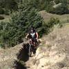 Rounding the corner on the Desert trail