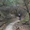 Pedaling up Wicked Ridge