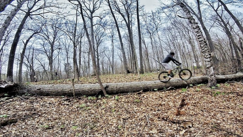 Log-ride