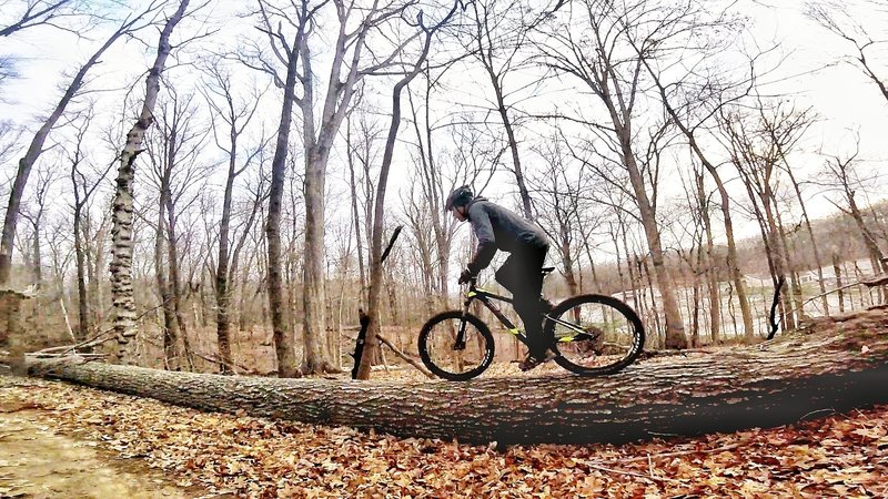 Log-ride