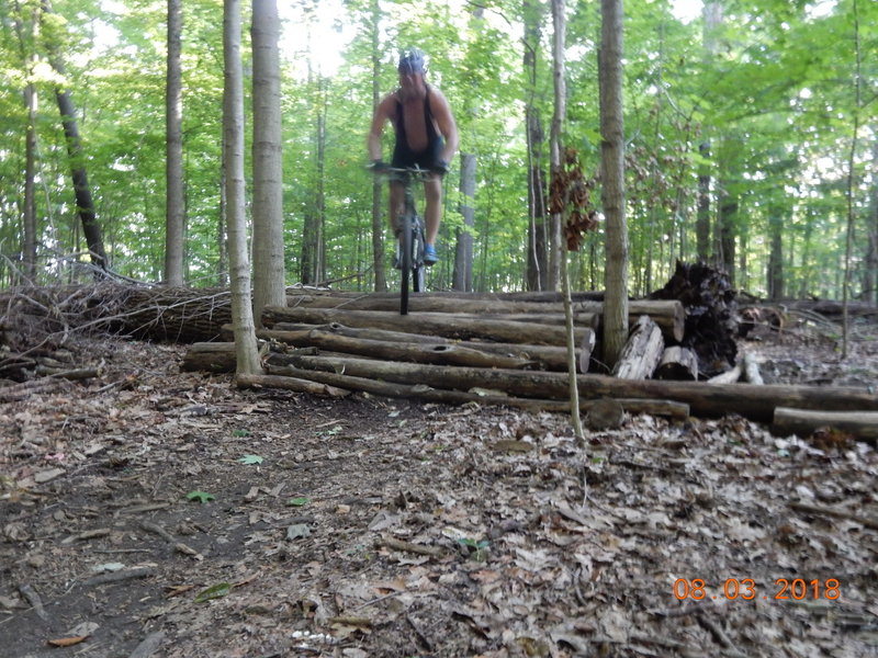 There are several tall log crossings and each one also has a bypass trail around it if you're not 'feeling it' on that day.