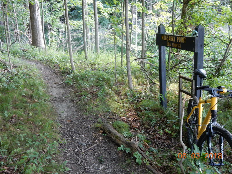 Moosakni Point - Stop in to the Salamonie Reservoir Otter Run Intrepetive Center and ask about the legend of Moosanki