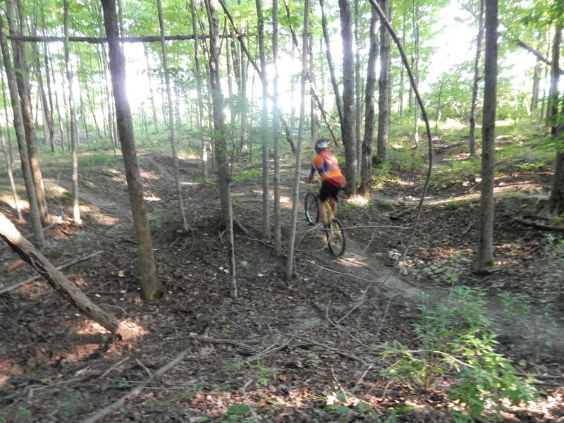 There are two 'Pump Track' sections and three Whoop sections for the 'roller coaster' lovers on the trail