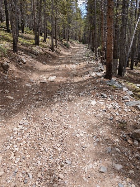 after Pennsylvania Creek Rd gets narrower above the neighborhood and is showing looser sections