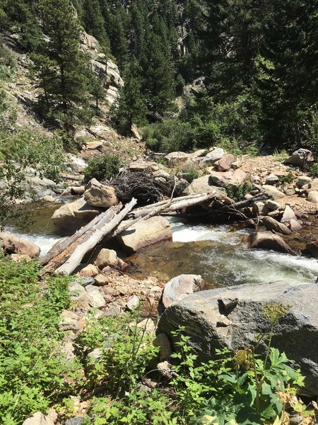 You have to hike a bike most of the last mile. It is amazing what the 2013 flood did. There use to be a road here. Now tree-bridges over deep pools.