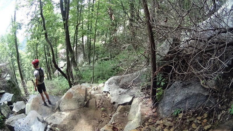 Rocky outcrop with views from the spur trail.