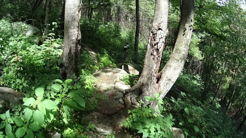 Riding up some of the rock armoring on Weedpatch trail.