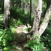 Riding up some of the rock armoring on Weedpatch trail.