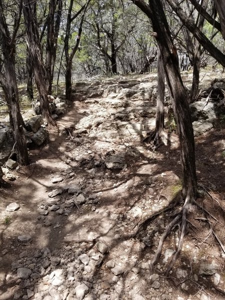 One of the rock climb sections on this trail