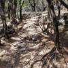 One of the rock climb sections on this trail