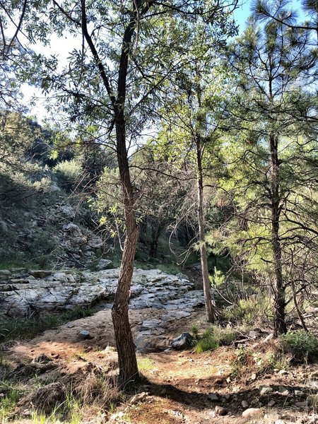 Armoured creek crossing