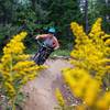 Cruising through the wild flowers and berms.