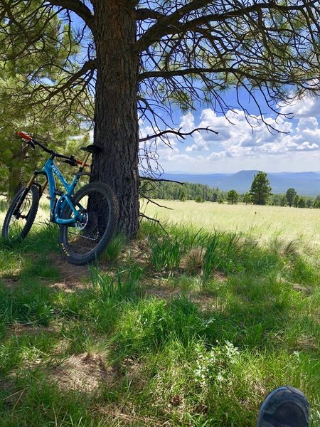 A great spot to catch some shade and a breeze.