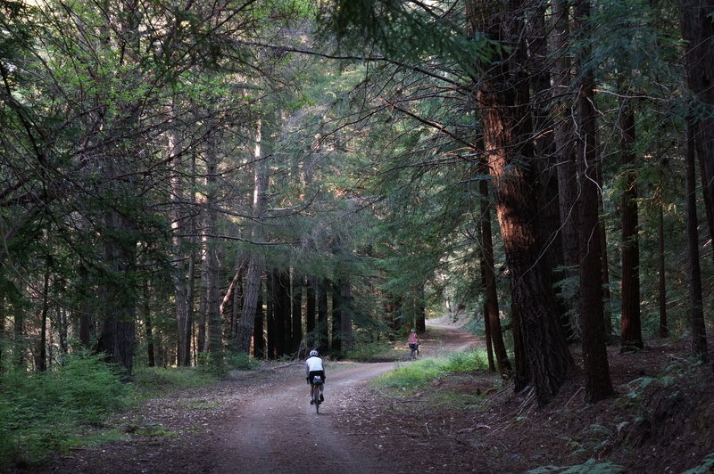 Climbing Old Haul Road from Wurr Road