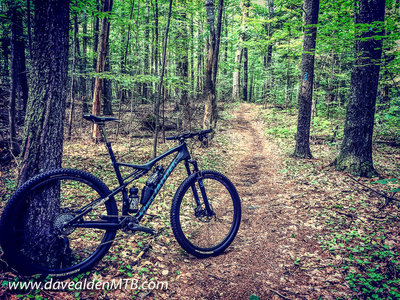 after the first climb, fun, swooping singletrack awaits