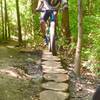 David takes the stumpy line on the east part of the Perimeter Trail.