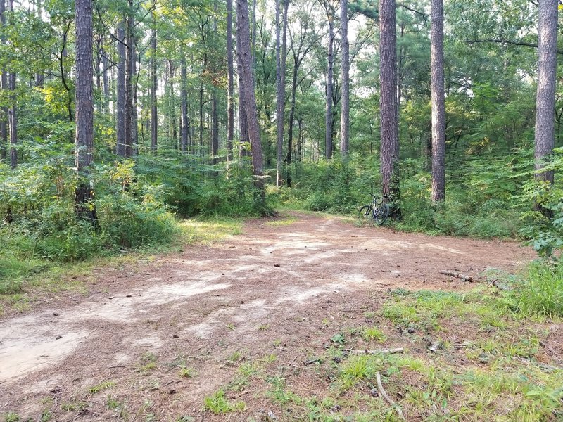 Beginning of Highway Loop and access to other trail sections