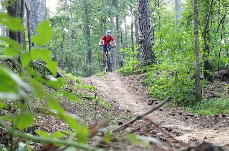 Downhill run near the pavilion