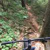 Tight, root-filled singletrack on the North section of Nick's Lake near the campgrounds.