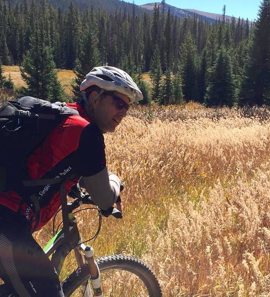 Lush high country meadows.