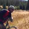 Lush high country meadows.