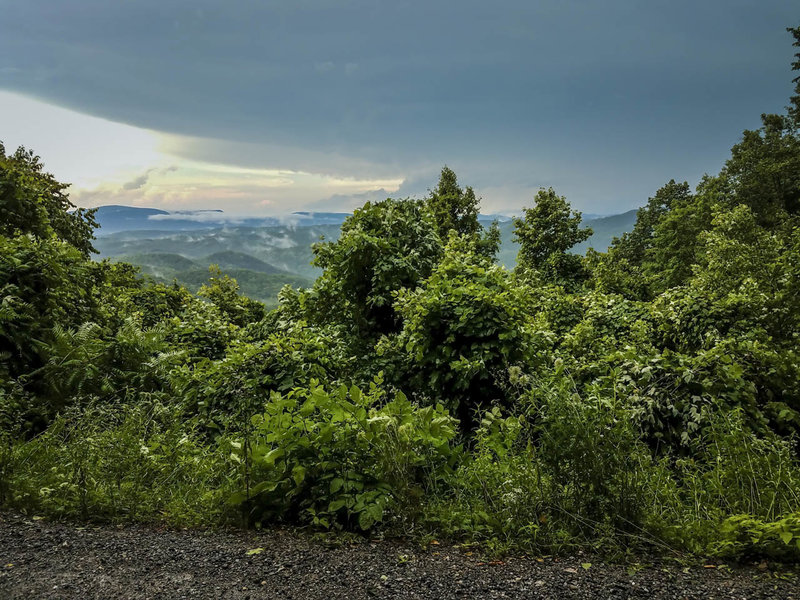 A drenching summer thunderstorm arrives in the Cohuttas