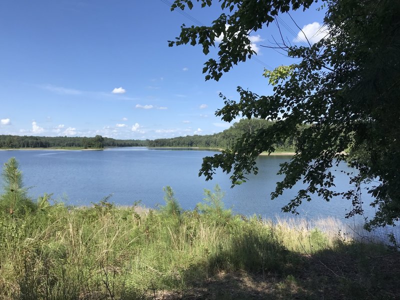 View across the lake!