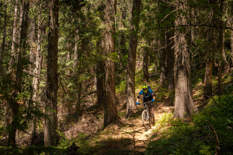 Riding down the top section of Trail 290